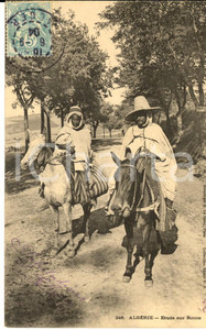 Cartolina originale da collezione 1904 COUTUMES ALGERIE Etude sur route Carte postale ANIMEE VINTAGE FP VG 1