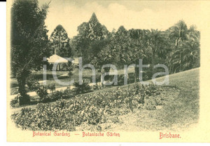 Cartolina originale da collezione 1900 ca BRISBANE AUSTRALIA Botanical Gardens VINTAGE postcard 1