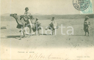 Cartolina originale da collezione 1904 ALGERIE Carovana in marcia nel deserto Cartolina postale FP VG 1