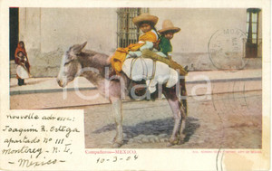 Cartolina originale da collezione 1904 MEXICO Due piccoli companeros su un asinello Cartolina ANIMATA FP VG 1