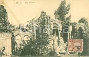 Cartolina originale da collezione 1907 TUNIS TUNISIE Le Mida du BELVEDERE Cartolina postale FP VG 1