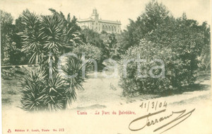 Cartolina originale da collezione 1904 TUNISI Veduta del parco del BELVEDERE Cartolina postale FP VG 1
