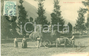 Cartolina originale da collezione 1906 LES PYRENEES Contadini con carro di buoi raccolgono fieno Cartolina FP VG 1