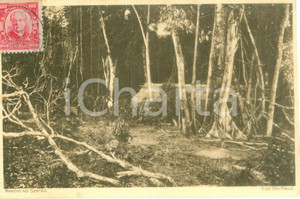 Cartolina originale da collezione 1912 SAO PAULO BRASILE Rancho no Sertao Cartolina postale FP VG 1