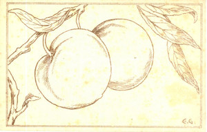 Cartolina originale da collezione 1935 ca NATURA Pesche pronte per il raccolto Cartolina ILLUSTRATA E.G. ZAT FP NV 1