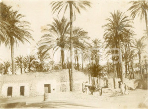 Fotografia d epoca originale 1892 LAGHOUAT ALGERIA Beduini all ingresso del SEDJA Fotografia cm 11 x 8 1