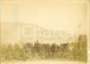Fotografia d epoca originale 1892 BAB EL OUED ALGERIA Il cimitero musulmano Fotografia cm 17 x 12 1