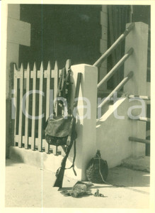 Fotografia d epoca originale 1955 ca FRANCE Il bottino dopo la battuta di caccia Fotografia 1