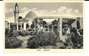 Cartolina originale da collezione 1930 ca HOMS LIBIA Veduta dei giardini Cartolina postale FP NV ed. TAYAR 1