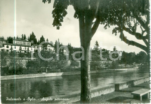 Cartolina originale da collezione 1951 PALAZZOLO SULL OGLIO BS Angolo pittoresco sul fiume Cartolina FG VG 1
