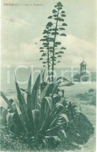 Cartolina originale da collezione 1930 ca BORDIGHERA IM Veduta di Capo SANT AMPELIO Cartolina FP NV 1