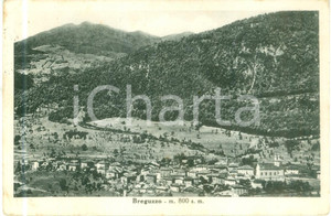 Cartolina originale da collezione 1961 BREGUZZO TN Panorama del paese nella valle Cartolina FP VG 1