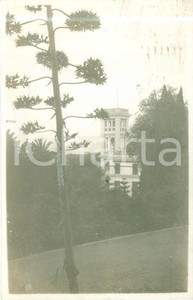 Cartolina originale da collezione 1922 BORDIGHERA IM Panorama con Villa e torre Cartolina FP VG 1