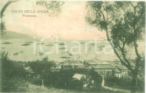 Cartolina originale da collezione 1920 LA SPEZIA Panorama del golfo con piroscafi Cartolina FP VG 1