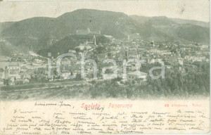 Cartolina originale da collezione 1907 SPOLETO PG Panorama della cittÃ  Santuario della Madonna Cartolina FP VG 1
