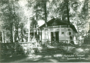 Cartolina originale da collezione 1955 ca MALÃˆ TN Tavernetta del Bosco in VAL DI SOLE Cartolina FG NV 1