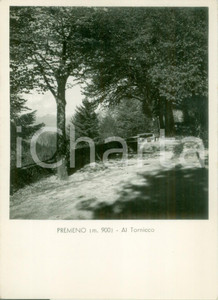 Cartolina originale da collezione 1955 ca PREMENO VB Panorama strada per il TORNICCO Cartolina FG NV 1