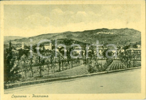 Cartolina originale da collezione 1952 BOLANO SP Panorama della frazione CEPARANA Cartolina FG VG 1