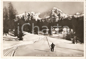 Cartolina originale da collezione 1954 APRICA SO Discesa della pista Cima del Monte PALABIONE Cartolina FG VG 1