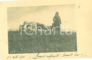 Cartolina originale da collezione 1903 COSTUMI Anziana porta al pascolo le pecore Cartolina FP NV 1