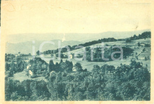 Cartolina originale da collezione 1950 SASSELLO SV Panorama della frazione PIAMPALUDO Cartolina FG NV 1