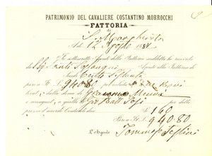 Documento originale, autentico 1881 Fattoria di S. MARGHERITA FI Costantino MORROCCHI  Ricevuta di bestiami 1