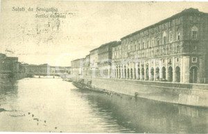 Cartolina originale da collezione 1919 SENIGALLIA AN Veduta dei Portici Ercolani Cartolina postale FP VG 1