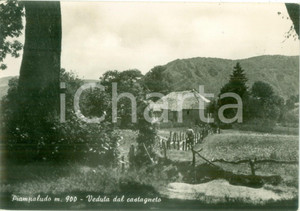 Cartolina originale da collezione 1953 SASSELLO SV Veduta di PIAMPALUDO dal castagneto Cartolina FG VG 1