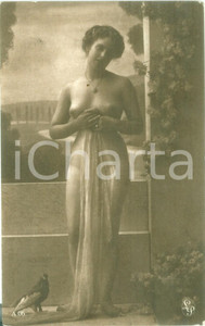 Cartolina originale da collezione 1930 ca EROTICA Ragazza nuda con velo e piccione Cartolina postale FP NV 1
