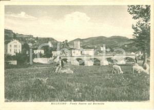 Cartolina originale da collezione 1945 ca MILLESIMO SV Ponte nuovo sul BORMIDA Cartolina postale FG NV 1
