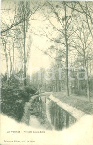 Cartolina originale da collezione 1935 ca LE VESINET FRANCE Vue de la RiviÃ¨re sousbois Cartolina FP NV 1