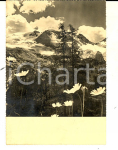 Cartolina originale da collezione 1948 ALPI PIEMONTESI Cartolina francobollo POSTA AEREA sovrastampato Lire 6 1