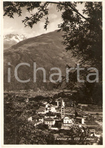 Cartolina originale da collezione 1955 ca TRESIVIO SO Panorama del centro del paese Cartolina FG VG 1