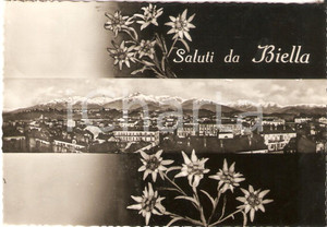 Cartolina originale da collezione 1955 BIELLA Panorama della città e stelle alpine Cartolina FG VG 1