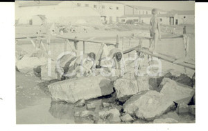 Fotografia d epoca originale 1950 VIAREGGIO LU Giochi di bambini in riva al mare Foto ARTISTICA 10x8 1