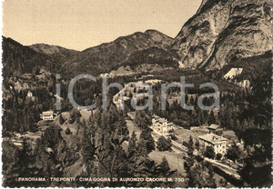 Cartolina originale da collezione 1955 ca VIGO DI CADORE BL Località TREPONTI e CIMA GOGNA Cartolina FG NV 1