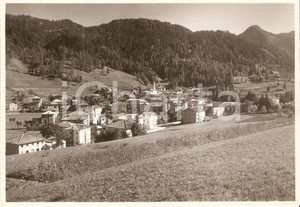 Cartolina originale da collezione 1950 LAGGIO DI CADORE BL Panorama del paese Cartolina FG VG 1
