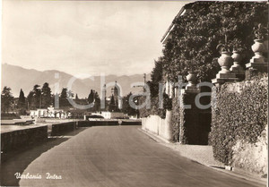 Cartolina originale da collezione 1956 VERBANIA INTRA Sede dei Canottieri Cartolina FG VG 1