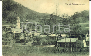 Cartolina originale da collezione 1921 TAI/ PIEVE DI CADORE BL Veduta panoramica della frazione Cartolina FP VG 1
