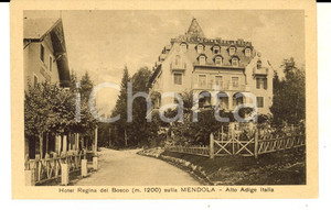 Cartolina originale da collezione 1930 ca PASSO DELLA MENDOLA BZ Veduta Hotel REGINA DEL BOSCO Cartolina 1