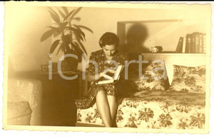 Fotografia d epoca originale 1950 ca MILANO ? Giovane donna in lettura sul divano Foto cartolina VINTAGE 1