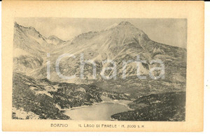 Cartolina originale da collezione 1915 ca BORMIO SO Veduta con il lago di FRAELE Cartolina postale FP NV 1