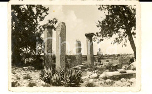 Fotografia d epoca originale 1940 ca AOI ERITREA Giovane indigeno tra antiche rovine Fotografia 9x6 cm 1