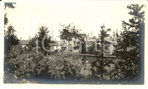 Fotografia d epoca originale 1920 ca PAVIA Veduta della cittÃ  dietro le fronde Fotografia VINTAGE 15x8 cm 1