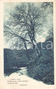 Cartolina originale da collezione 1924 ARTE Paesaggio fluviale con versi di Giovanni BERTACCHI Cartolina FP NV 1