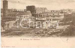 Cartolina originale da collezione 1901 ROMA Il Colosseo visto dal PALATINO Cartolina FP VG 1