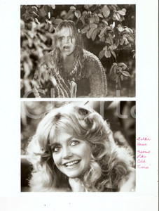 Fotografia d epoca originale 1980 SEEMS LIKE OLD TIMES Goldie HAWN Portrait  MovIe by Jay SANDRICH Foto 1