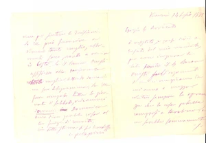 Manoscritto, lettera originale 1881 VENEZIA Avv. Clemente PELLEGRINI contro le lungaggini di una causa Lettera 1