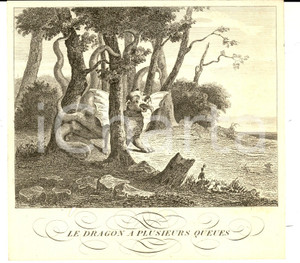 Stampa, bozzetto originale 1790 ca LA FONTAINE Fables  Le Dragon a plusieurs queues Gravure STAMPA 19x19 1