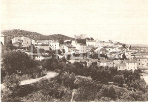 Cartolina originale da collezione 1950 ca SUVERETO LI Panorama del paese Cartolina FG NV 1